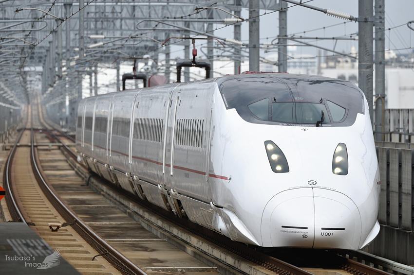 九州新幹線] 800系電車篇- 路總部Luke's Depository 2022