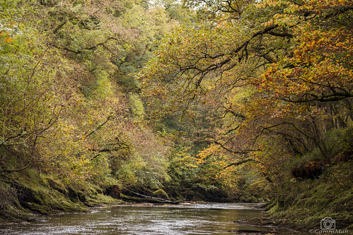 shankwood riverlyne riverbank longtown trees autumn water rocks colour tones cumbria outandabout canon6d tamron90mm leepolariser manfrotto ©davidliddle ©camraman
