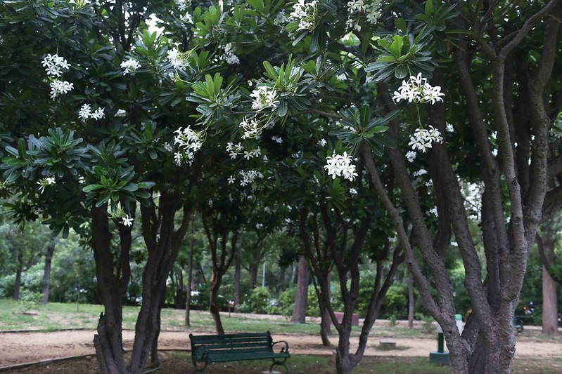 City Hangout - The World's Best Garden Bench, Nehru Park