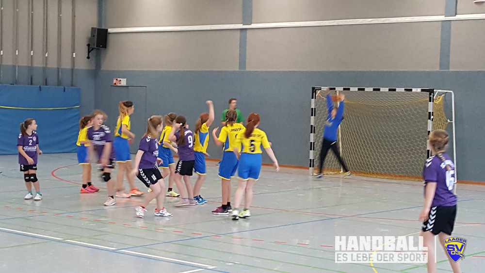 20171118 Schwaaner SV - Laager SV 03 Handball wJD (16).jpg
