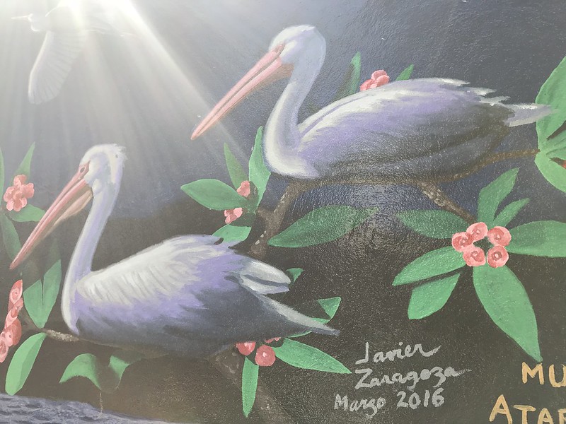 Full size of pelican mural