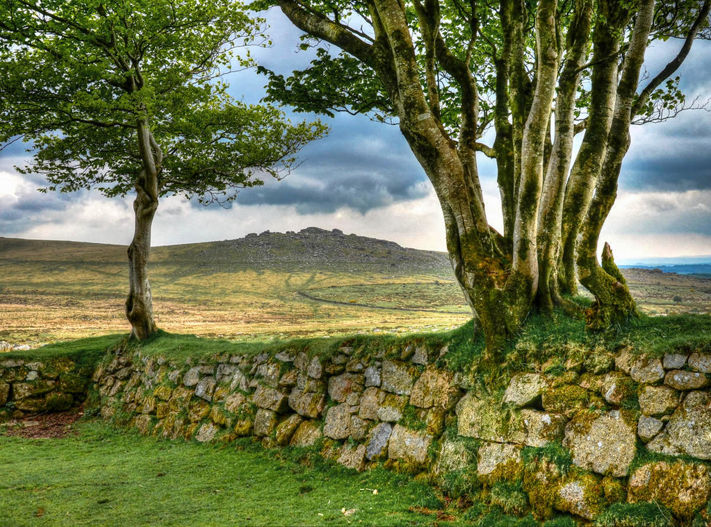 Stone enclosure on Dartmoor. Credit Baz Richardson, flickr