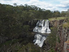 Ebor Falls (upper falls)
