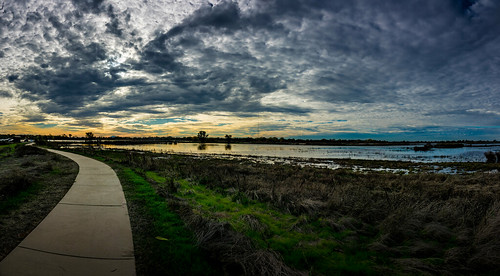 ca california centralcaliforniavalley cosumnesriverpreserve elkgrove afternoon aquaticbird nature outdoor recreational waterfowl wetlands panorama sunset clouds