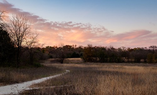 color creek fall forest garland nanpa reflections springcreekforestpreserve texas trees