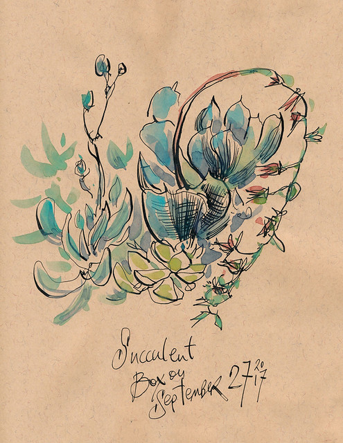 Sketchbook #109: Succulents