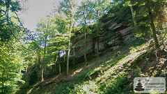 Erbsenfelsen, Rocher de  l-Erbsenfels - Photo of Oberbronn