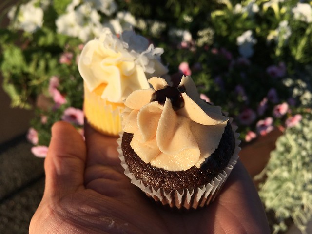 Peanut butter & lemon coconut mini cupcakes - Sweetly Baked