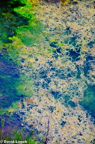 fineart vertical canada imageseekers ionh2o water abstract fineartphotography lake pattern pond reflections river sea secretshot texture urbanart urbanconceptart elko bc ca