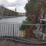 06-10-2017 - Visite berges du Rhône et rives de Saône