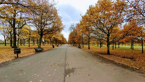 Regent's Park