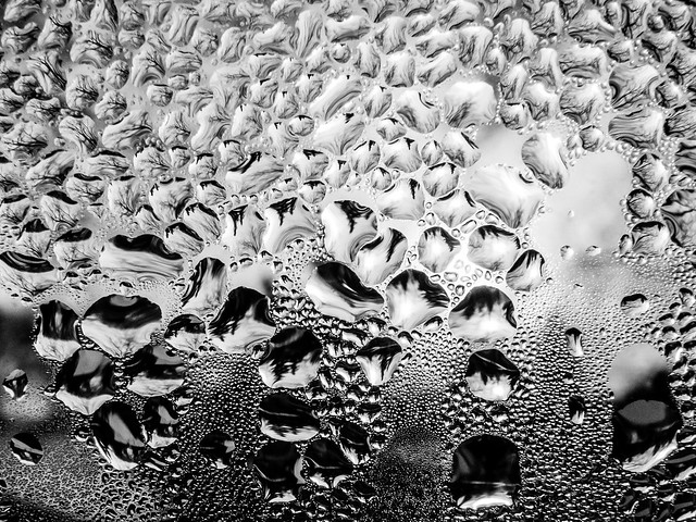 Drops of water condensed on a window at sunrise.