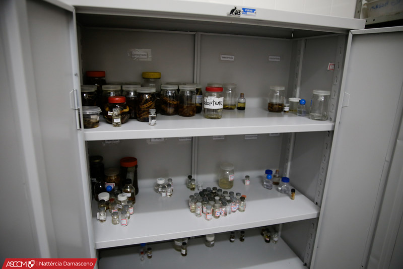 Visita ao Lab. de Entomologia
