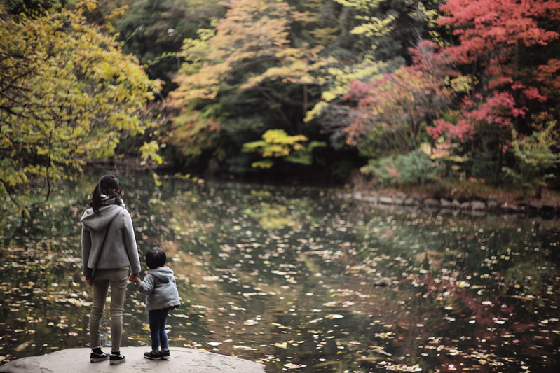 Leica M TYP240+Canon serenar 50mm f1.8本郷三丁目東京大学三四郎池の紅葉と母子