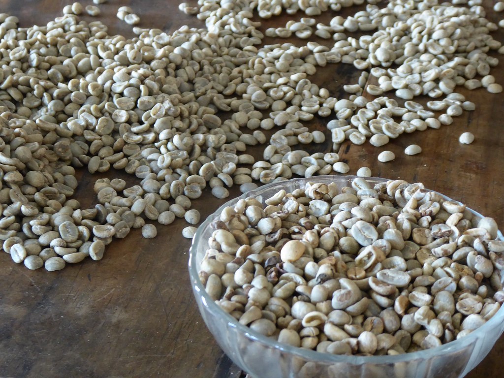Caffè pronto per essere tostato, Antigua Guatemala