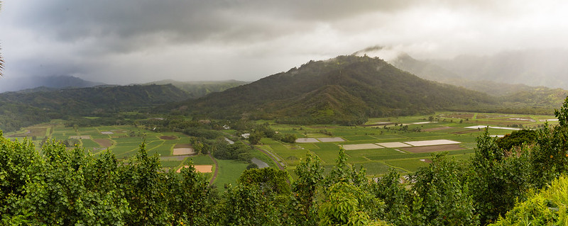 Hanalei Valley - Kauai - Hawaii