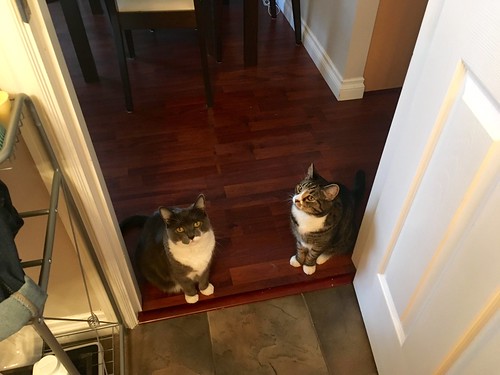 This is what I see when I open the bathroom door