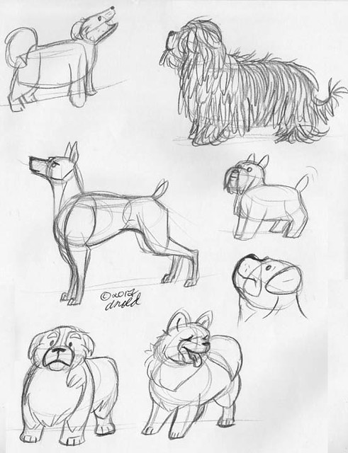 10.24.11 - National Dog Show Sketches
