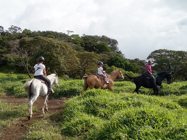 Etapa 7. Monteverde (Selvatura, canopy+ colibrís) - Ruta de 17 días por Costa Rica con niña de 7 años (13)