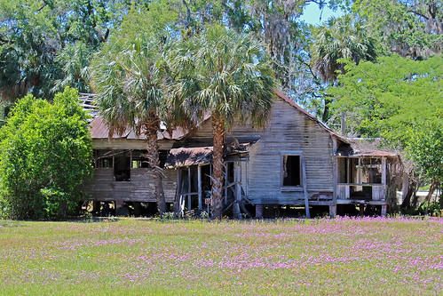 house abandoned ruraldecay field wildflowers bronson florida