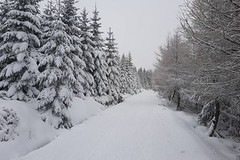 České hory nabízí kvalitní běžkování