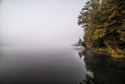 mist fog water lake reflection tree autumn fall nature loneliness muskoka ontario canada north america landscape outdoor