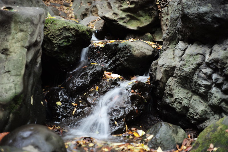 Leica M TYP240+Canon serenar 50mm f1.8本郷三丁目東京大学三四郎池に流れる滝