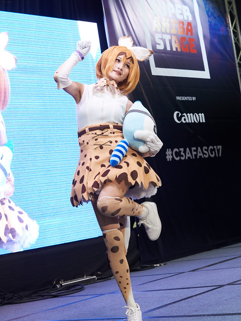 C3AFASG17 Day 2_00076 25-11-2017