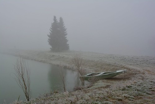 mist trees fishpond