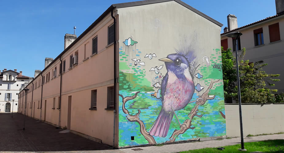 Gratis en goedkoop in Bologna: street art ontdekken | Mooistestedentrips.nl