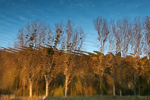 water reflection autumn wind river loing france trees sky ondulations distorsions