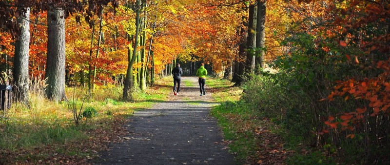 10 důvodů proč s podzimem nepřestávat běhat (a proč klidně začít)