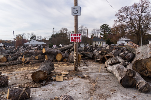Free fire wood in Lyman mill parking lot