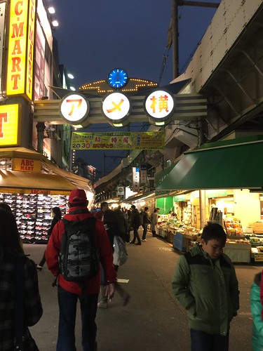 新宿御苑、明治神宮、秋葉原、阿美橫町