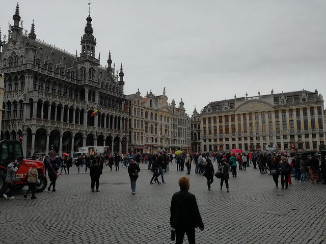 NOS VAMOS A FLANDES. Seis días visitando Bruselas, Gante y Brujas - Blogs de Belgica - COMENZAMOS POR LA GRAND PLACE (1)
