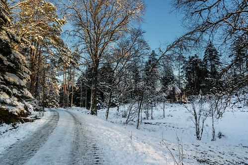 bergen langeskogen bluesky color landscape landskap natur nature path sky snow trail trees winter