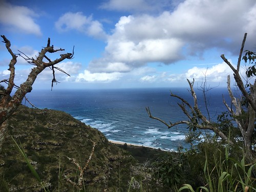 hiking hike hawaii hikehawaii hikinghawaii kealia kealiatrail kuaokala trail