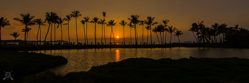 2017 abay bigisland fall hi hawaii kona nikon pacificocean palmtrees sunset landscape silhouette sunsetsandsunrisesgold