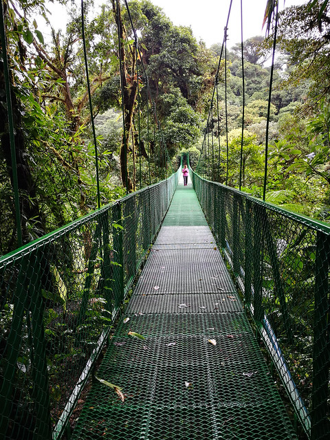 Etapa 7. Monteverde (Selvatura, canopy+ colibrís) - Ruta de 17 días por Costa Rica con niña de 7 años (9)