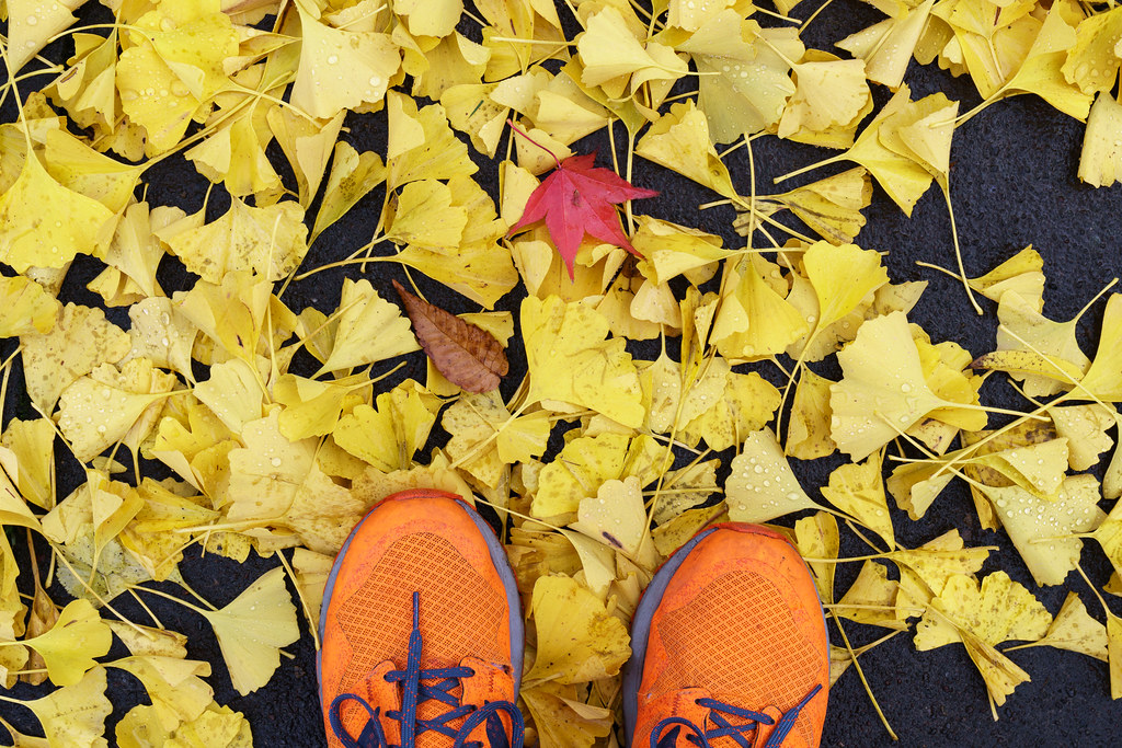 A sidewalk covered in yellow leaves, with a brown and red leaf in the middle, and orange shoes sticking in from below