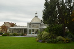 A Victorian greenhouse