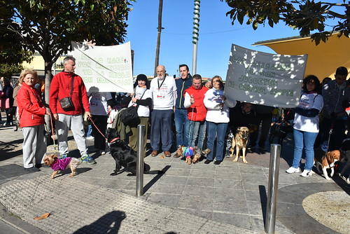 III Paseo Canino Ayuntamiento y ACAN