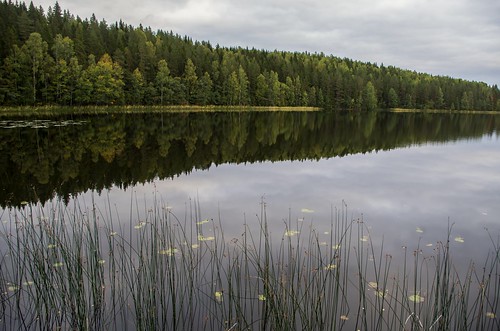 stefanorugolo pentax k5 smcpentaxda1855mmf3556alwr lake reflection forest water sky sweden sverige hälsingland