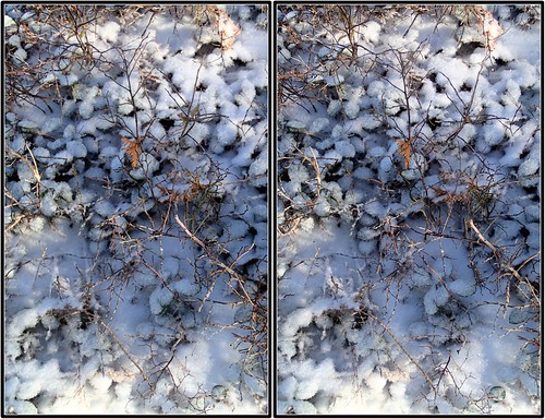 bushes crosseye ice stereo tremblant wintergreen