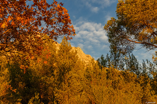 saintevictoire landscape canoneos autumn fall provence trees saintantoninsurbayon provencealpescôtedazur france fr