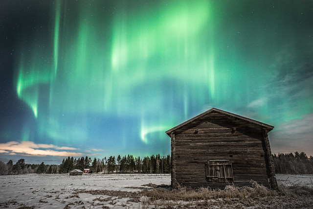Northern lights dancing above Korkia's old barn