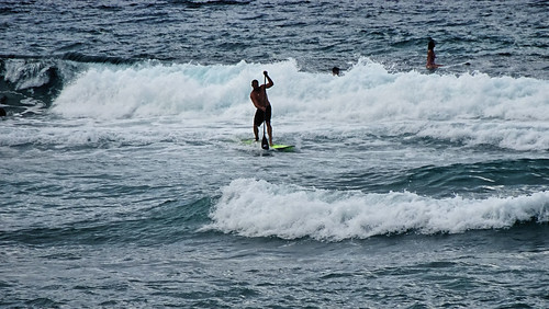 North Shore Laniakea Beach Surfers 2