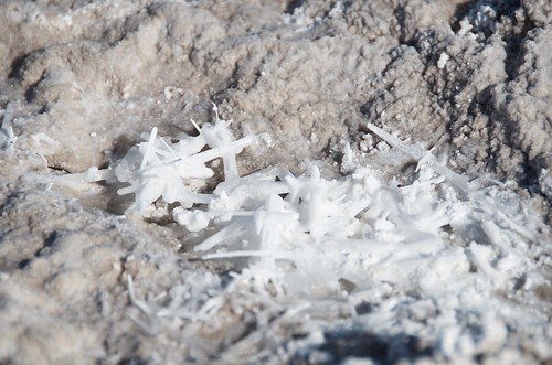 White Sands Playa crystals