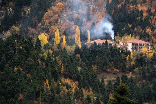 forest outdoors outside mountain mountscape smoke hellas greece centralgreece
