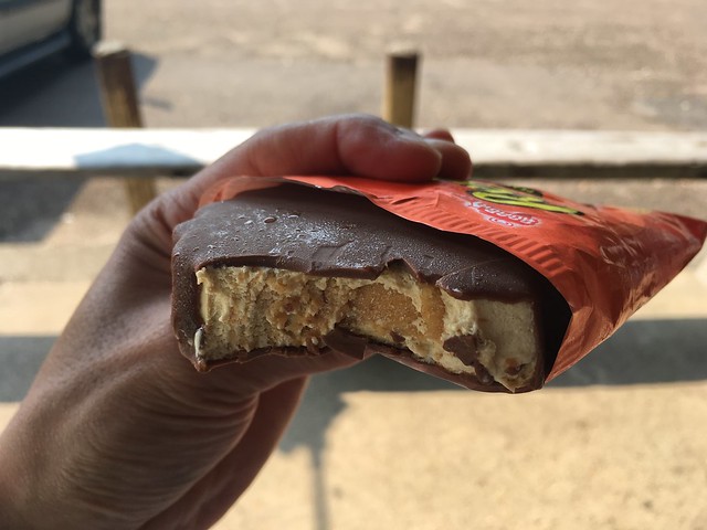 Reese's peanut butter cup ice cream - Shelby Forest General Store